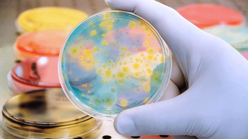 分子生物学试剂分类标准解析