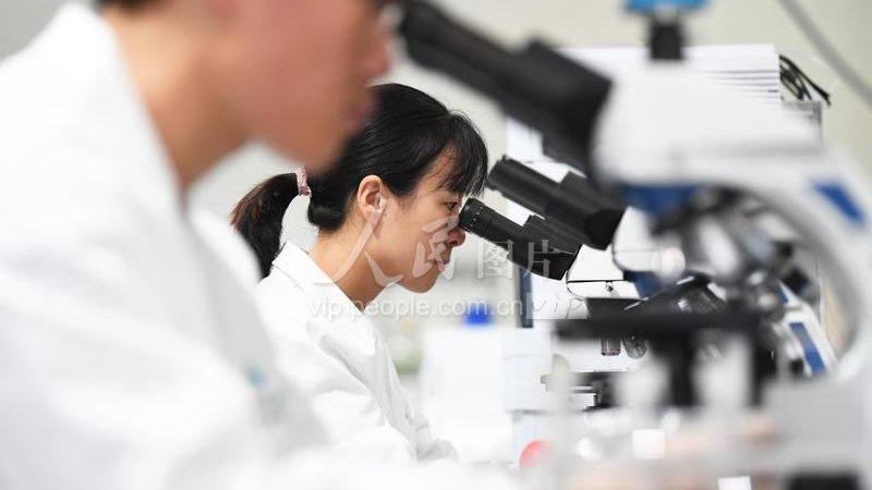 宠物健康监测：PCR检测与血常规的优劣势对比**