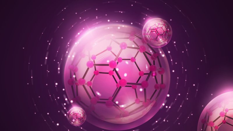 宠物PCR检测：揭秘价格背后的考量因素