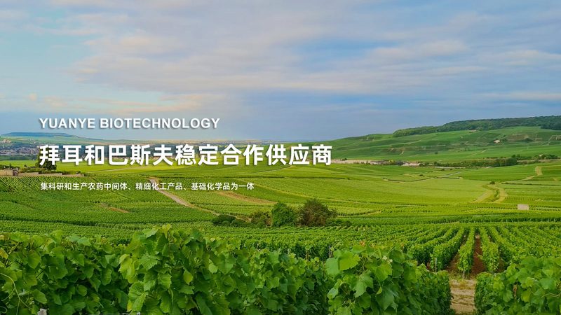 食品级酶制剂储存：关键规范与注意事项**