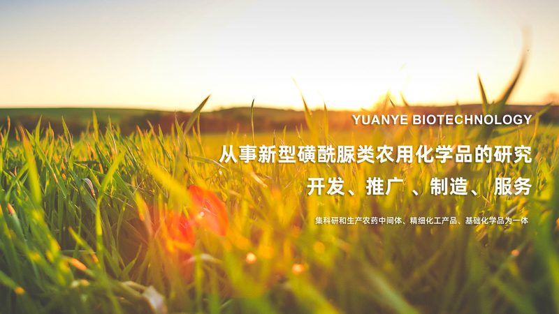 生物制品临床试验收费标准：揭秘背后的考量因素**