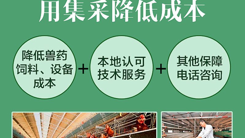 北京分子生物学试剂：如何选择合适的供应商**