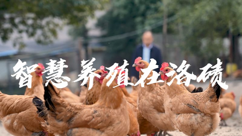 果树追肥，如何选择生物科技肥料？**