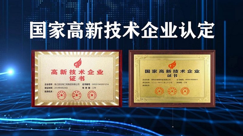 CDMO定制研发：揭秘药物研发的“幕后英雄