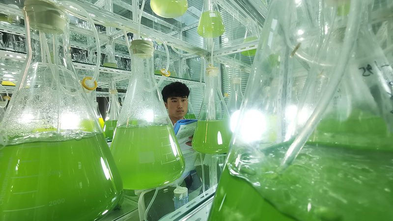液体DMEM培养基储存注意事项：确保细胞培养品质的关键步骤